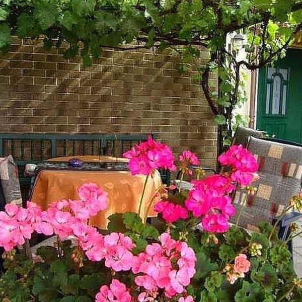 Flat in Bereborn with terrace and garden