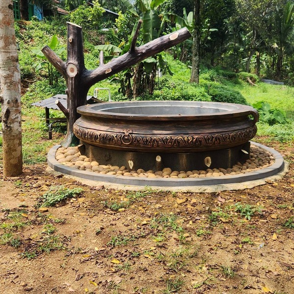 Forest home where elephants roam