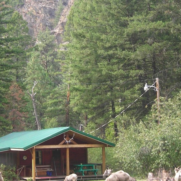 Forest Service Type Cabins 30 Miles outside Missoula-
