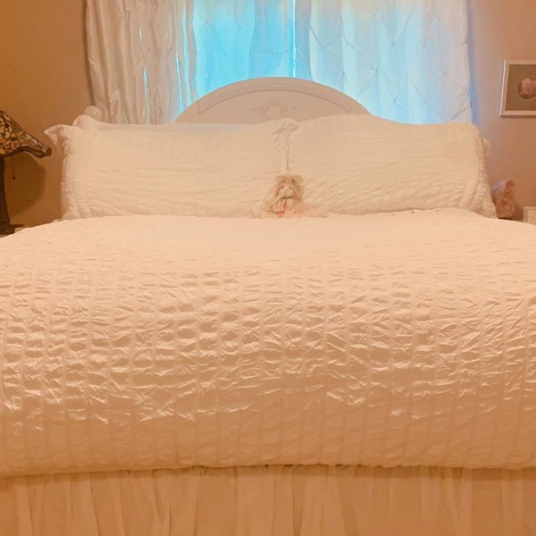 Forest View / Beautiful White Room