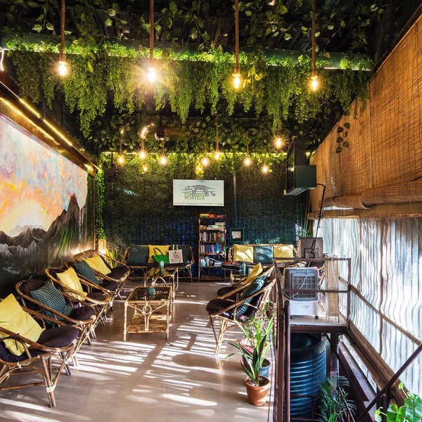 Forrest Hostels