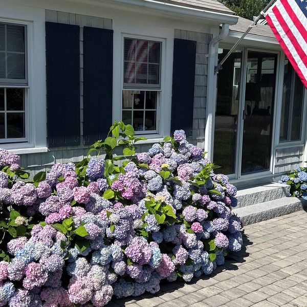 Frank's Cozy Cape Cod Beach Cottage