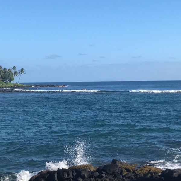 Fully Renovated Oceanfront with Air Cond. Ground Floor Unit with Spacious Lanai!