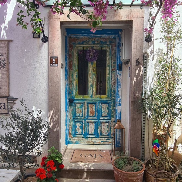 Gaja Ayvalik