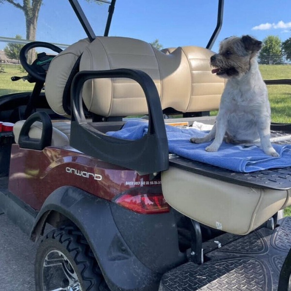 Get Busy Livin! Grand Lake Waterfront