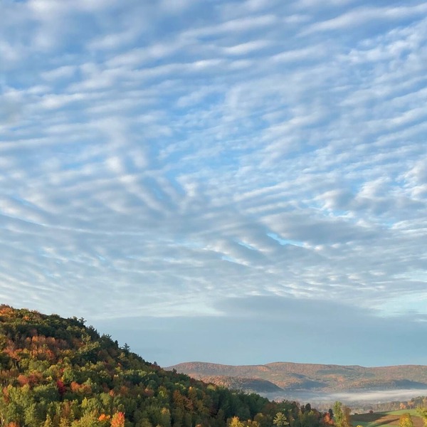 Gorgeous Country Escape for up to 10 in charming Cobleskill