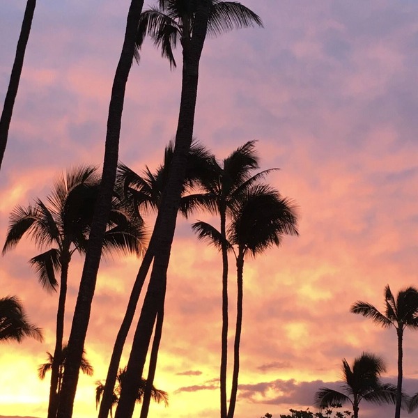 Gorgeous Oceanfront Complex on Maui! Kanai A Nalu, with FREE parking!