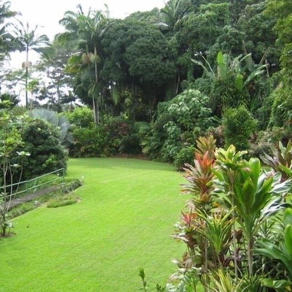 Gorgeous studio apartment on the Hamakua Coast 6 minutes to downtown Hilo. 99/nt