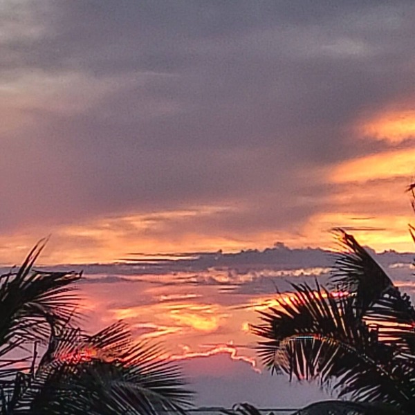 Gorgeous Sunsets from Your Balcony in Moon Bay/Walk to nearby restaurants