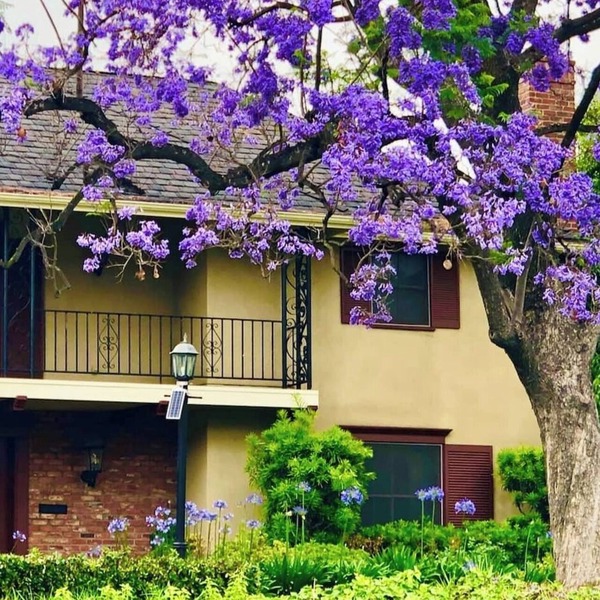 Grace Estate: Romantic 7BR Pasadena Retreat with Pool