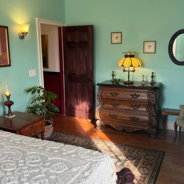 Grand Historic Downtown Apartment