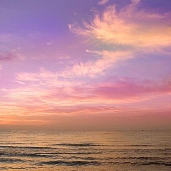 Great Studio - Under 2 minute walk to beach where dogs are welcome