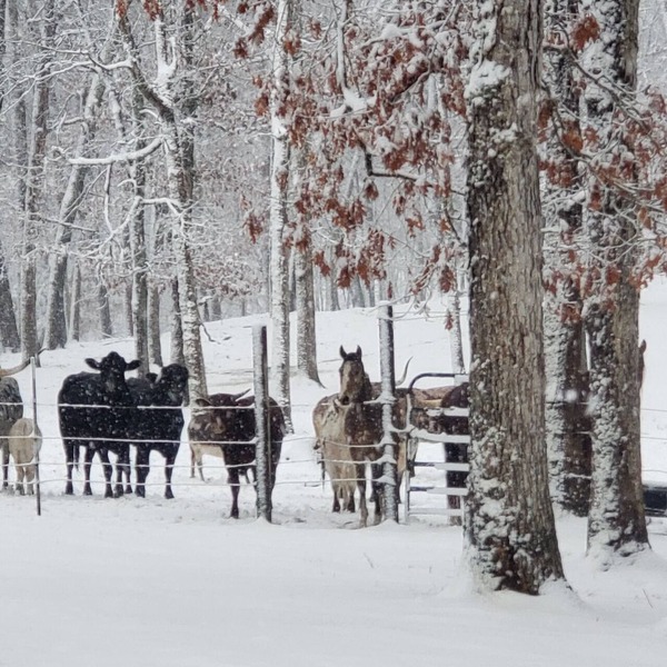 Hagood farms and trails