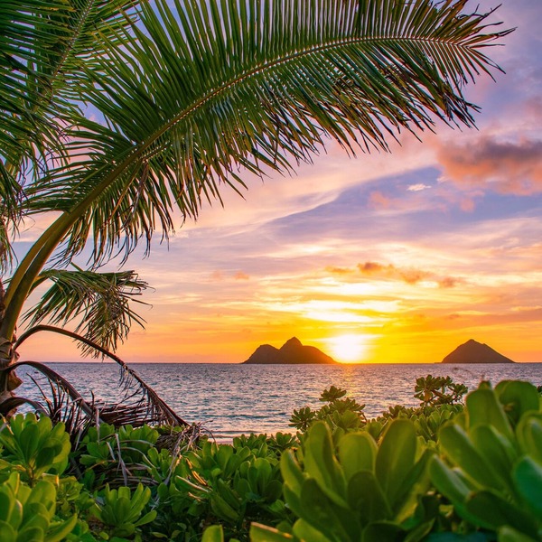 Hale Alapi'i Lanikai Getaway by Gather: Newly Renovated Near Beach & Hiking