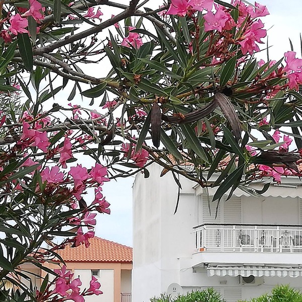 Hanioti Apartment