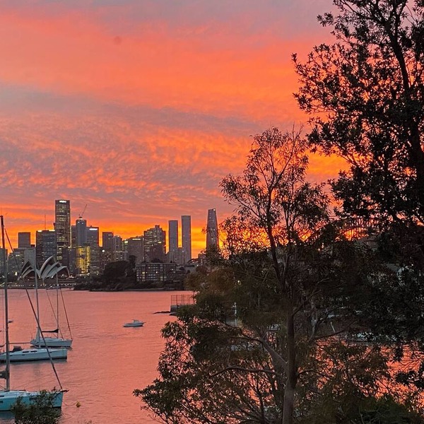 Harbourfront/Opera House and Harbour Views/Cremorne Point/Ferry
