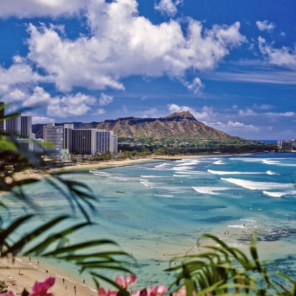 Hawaiian Monarch 1607 Condo by RedAwning