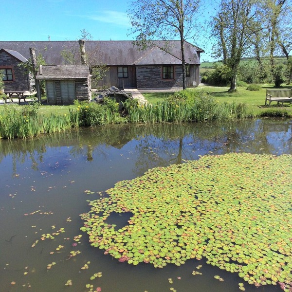 Hawthorn-luxury 4 bed cottage- great views, indoor pool hot tub, gym, fishing.