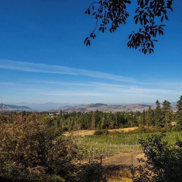 Hidden Rose suite overlooking North Okanagan