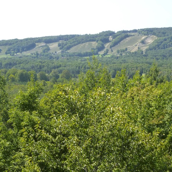 Highlands View Cottage A Perfect 4 Season Getaway