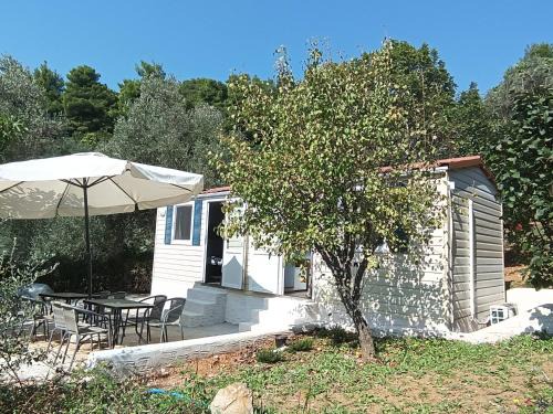 Hillbilly cabin, 2 studios in nature with terrace and parking