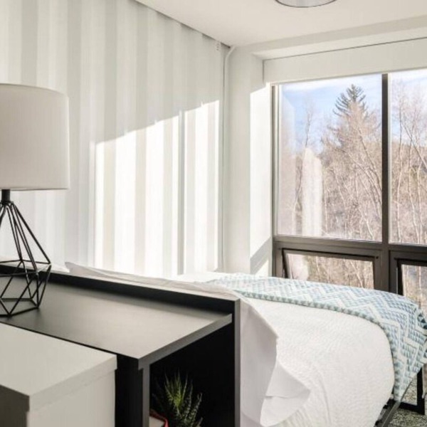 Hillside Retreat: Comfortable Room, Colorado Ski Trails! Free Parking