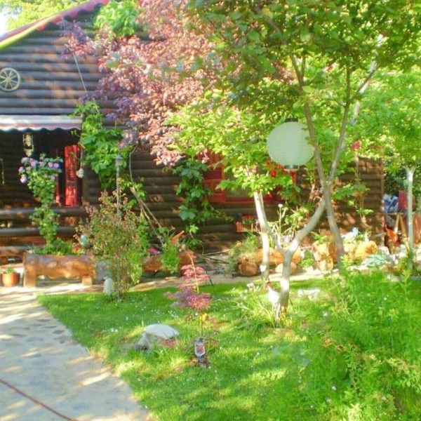 Holidays in the see and mountains