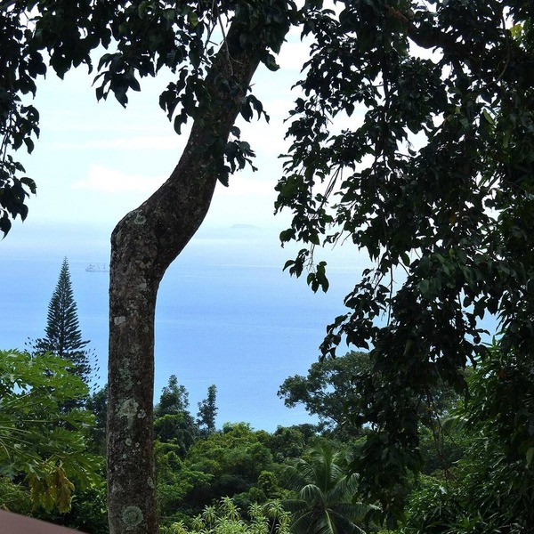 Homerez - Beautiful studio for 2 ppl. with sea view, terrace and balcony at Mahe