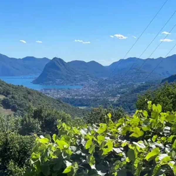 Homerez - Detached House Capriasca