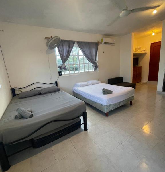 Homey studio in the CENTRO of town !
