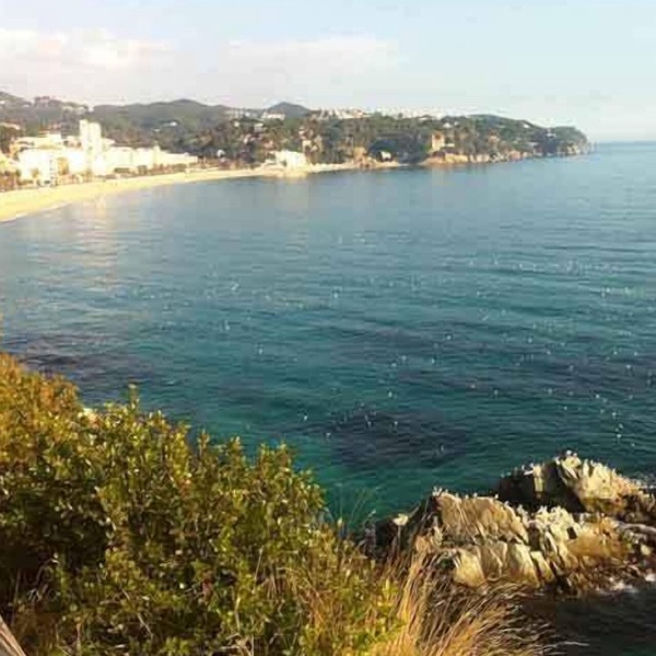 Hostal Ribas