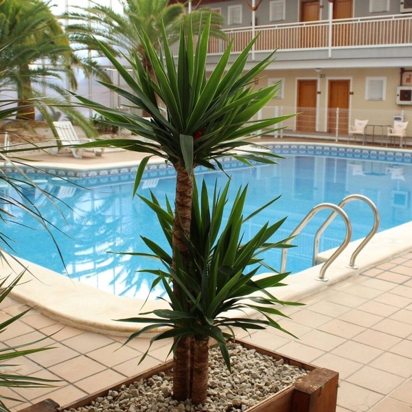 Hotel Algorfa
