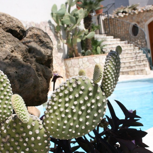 Hotel Il Cortile