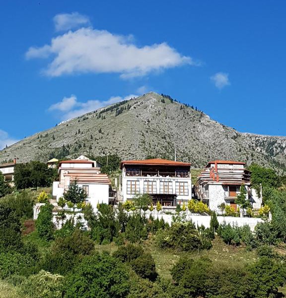 Hotel Metoxi