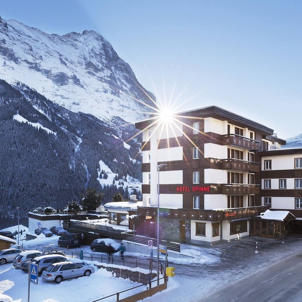 Hotel Spinne