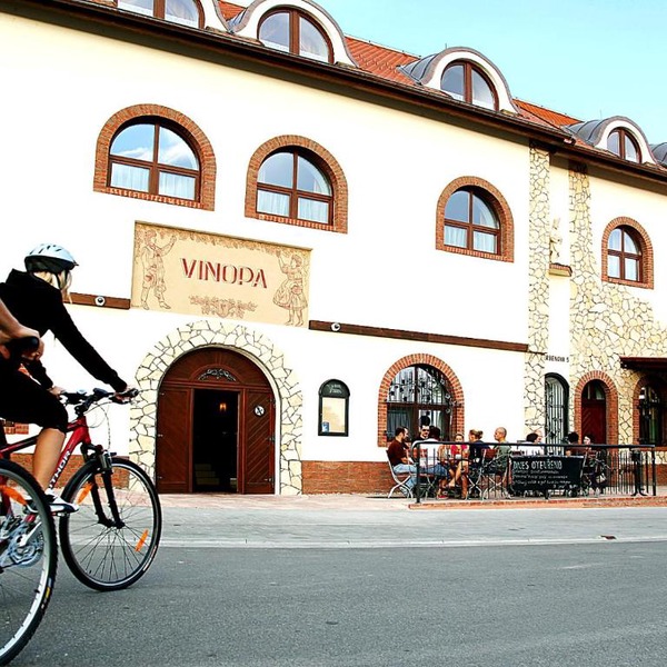 Hotel Vinopa