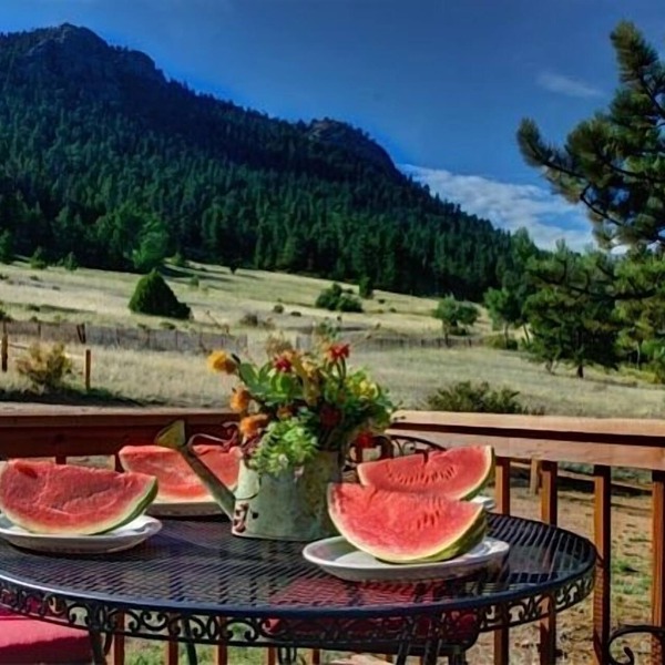 Huge Views, 15 Acre Private Estate, Wildlife, Multi-Family Cottage Near RMNP