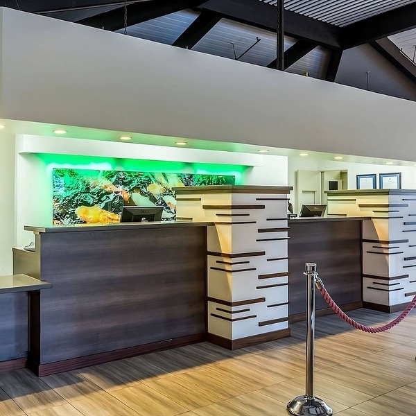Ideal Location! Onsite Pool, Pet-Friendly Property, Near Waikiki Beach