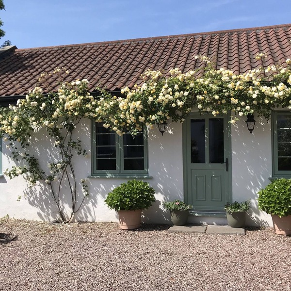 Idyllic Cottage in the heart of Somerset in the foothills of the mendips AONB