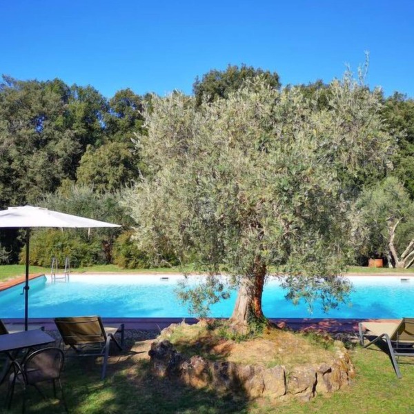 Il Boschetto by Interhome