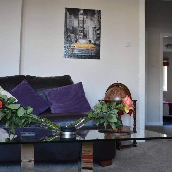 Immaculate cosy flat next to Holyrood park