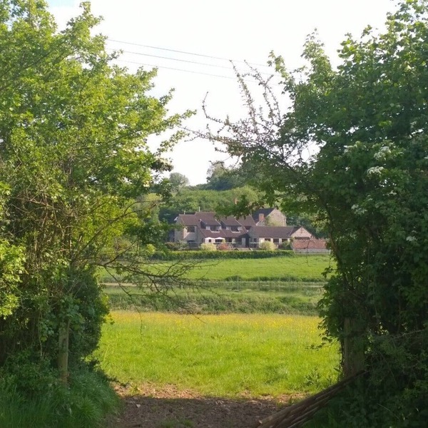 In Somerset