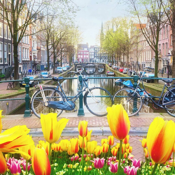 In the tree lined streets of Amsterdam-A stones throw from Vondelpark