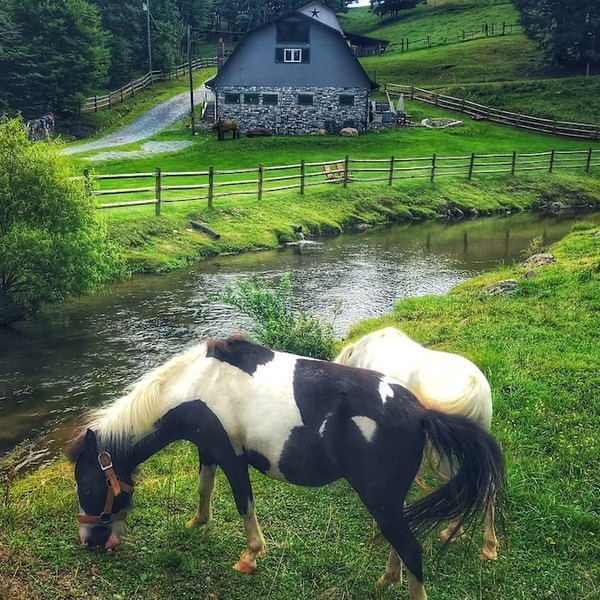 Incredible Secluded Barn with Hot-tub and Petting Zoo in Sugar Grove, North Carolina