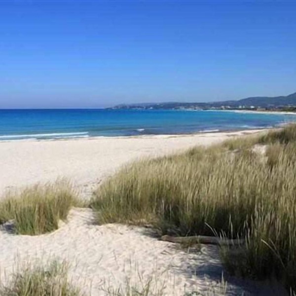 Independent apartment with 3 bedrooms and private garden a few steps from the famous White Beaches of Vada