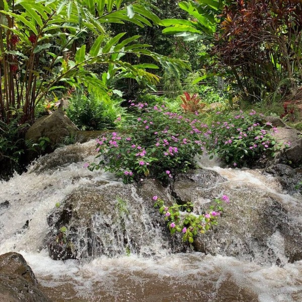 Inspired 1-BR, Magic Gardens, Stream and Waterfall
