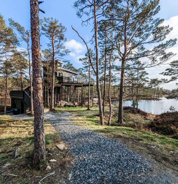 Iveland Tree Top Panorama - Furukrona