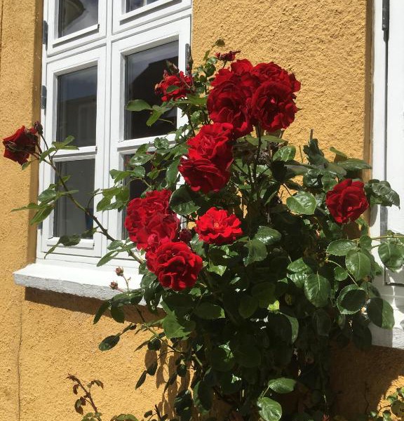 Jan og Inges Bed & Breakfast