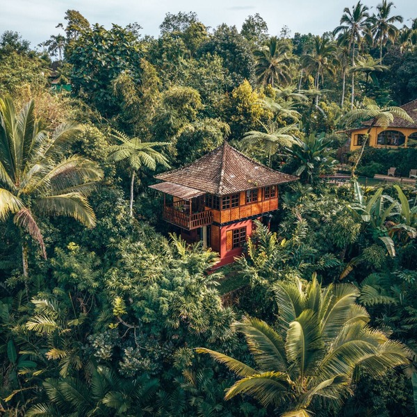 Jungle House with Stunning views and a Natural pool!