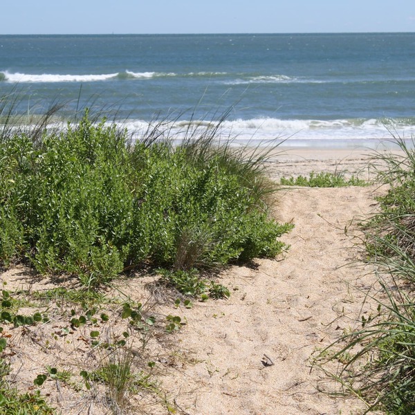 Just Steps to Vilano Beach